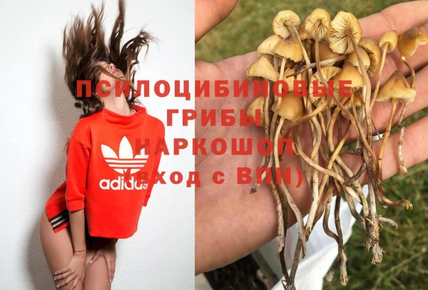 кокаин Алексеевка
