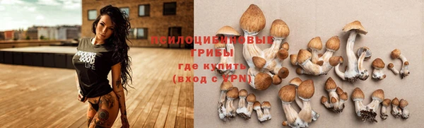 а пвп мука Алексин