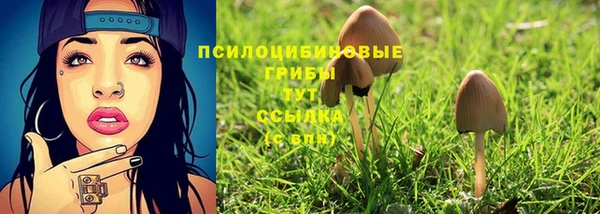 каннабис Алзамай