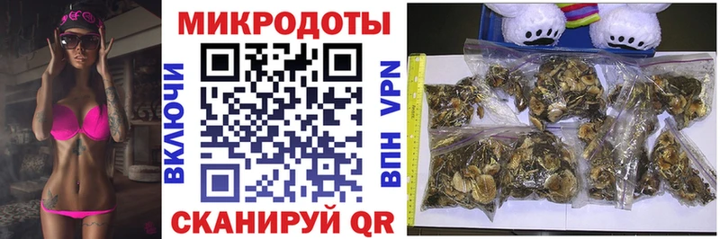 shop формула  купить наркотики цена  Навашино  Псилоцибиновые грибы прущие грибы 